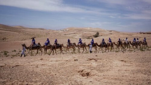 organisation voyage d'entreprise