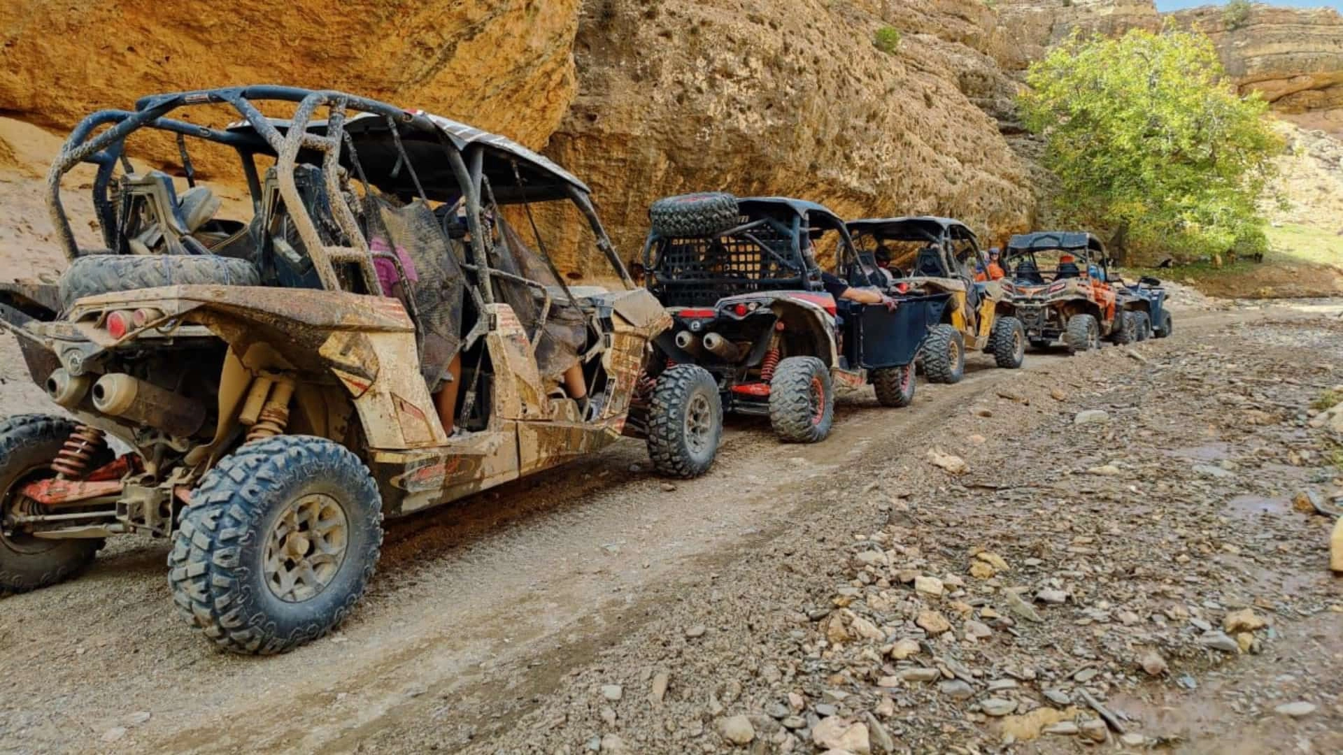 Organisation incentive d'entreprise.