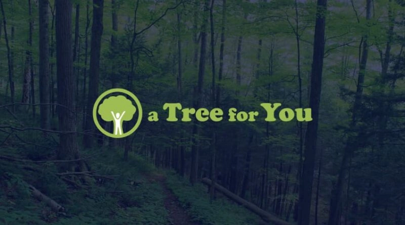 mycomm a tree for you